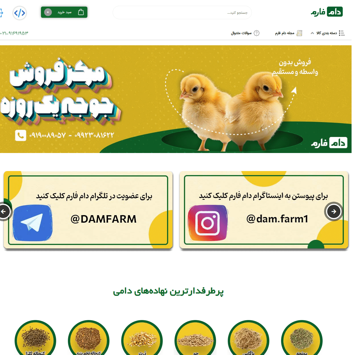 طراحی سایت دام فارم
