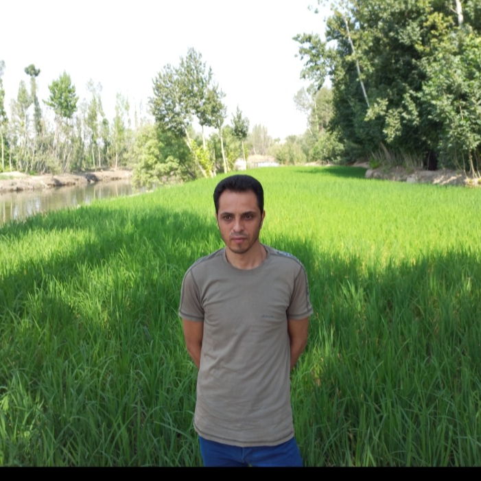 Mohammadreza65