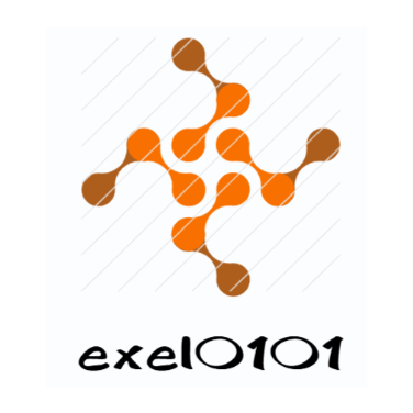 exel0101